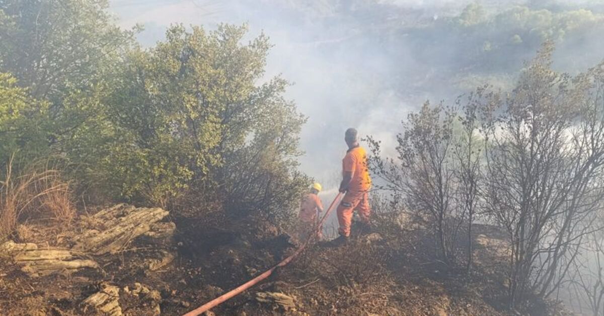 Antalya’da ormanlık alanda yangın