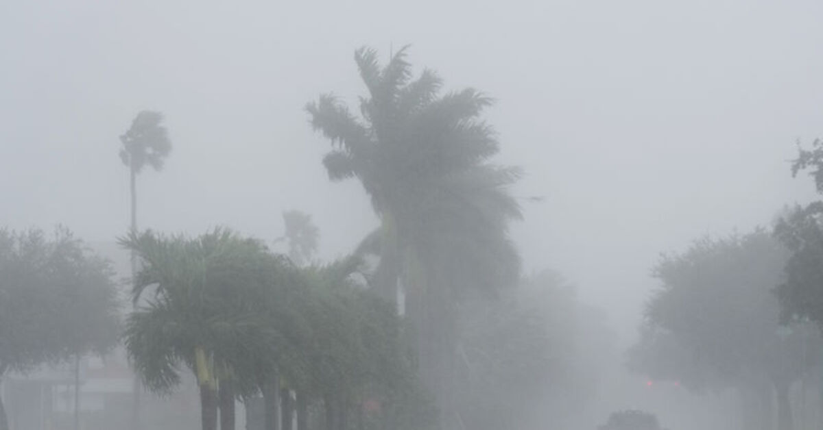 ABD alarma geçti! Milton Kasırgası Florida kıyılarına ulaştı