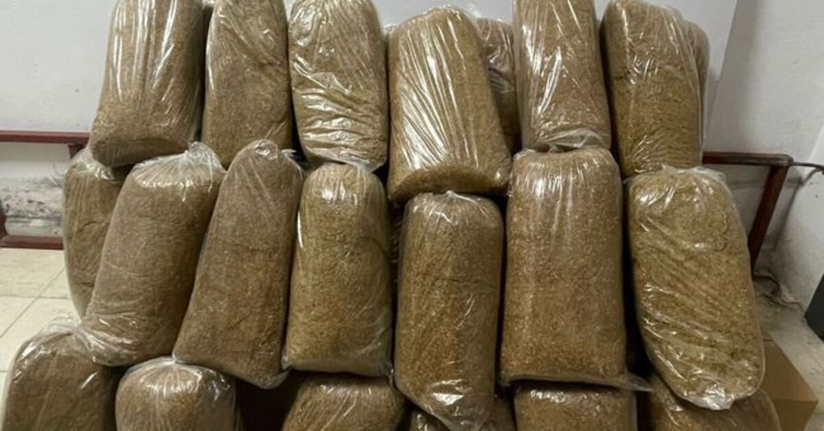 Samsun’da kaçakçılık operasyonu: 9 gözaltı