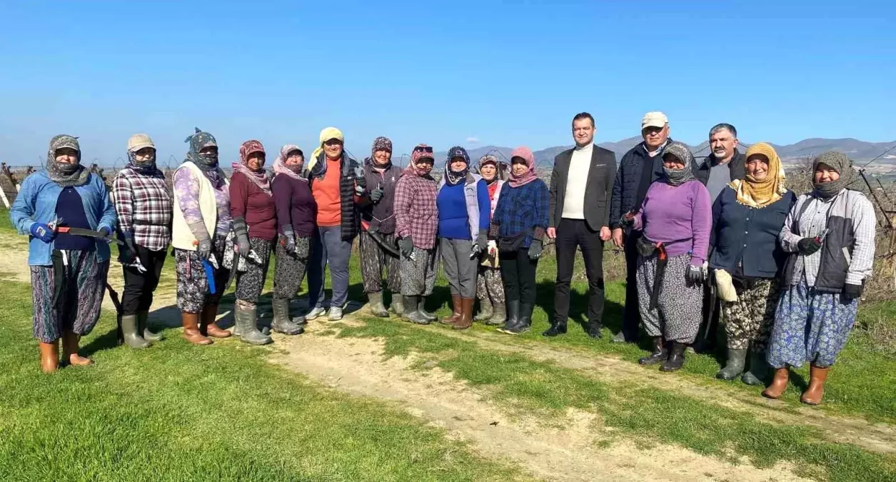 Kadınlar Bağ Budamada İlki Başardı
